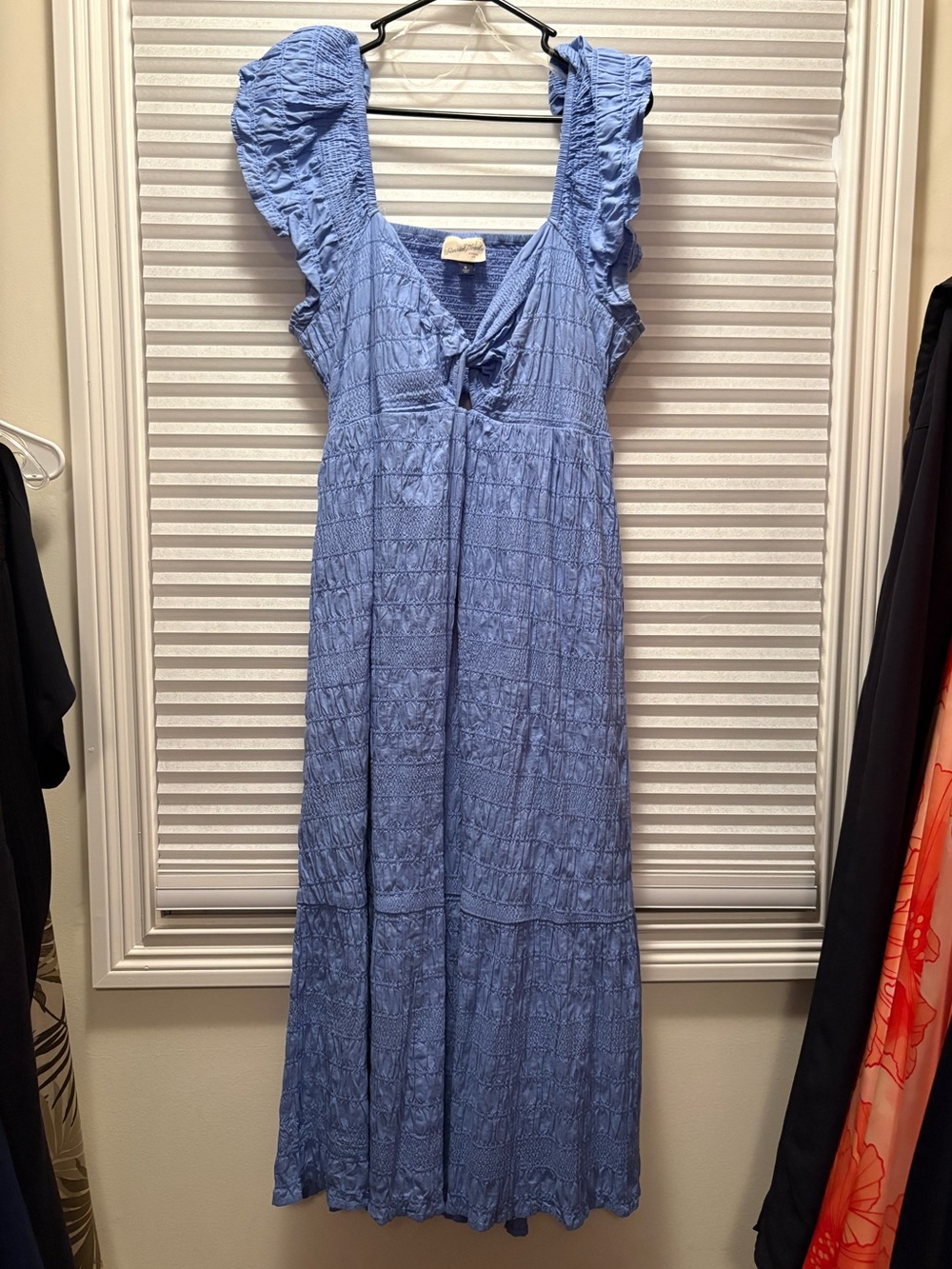Blue Ruffle Sleeve Maxi Dress - Picture 1 of 3